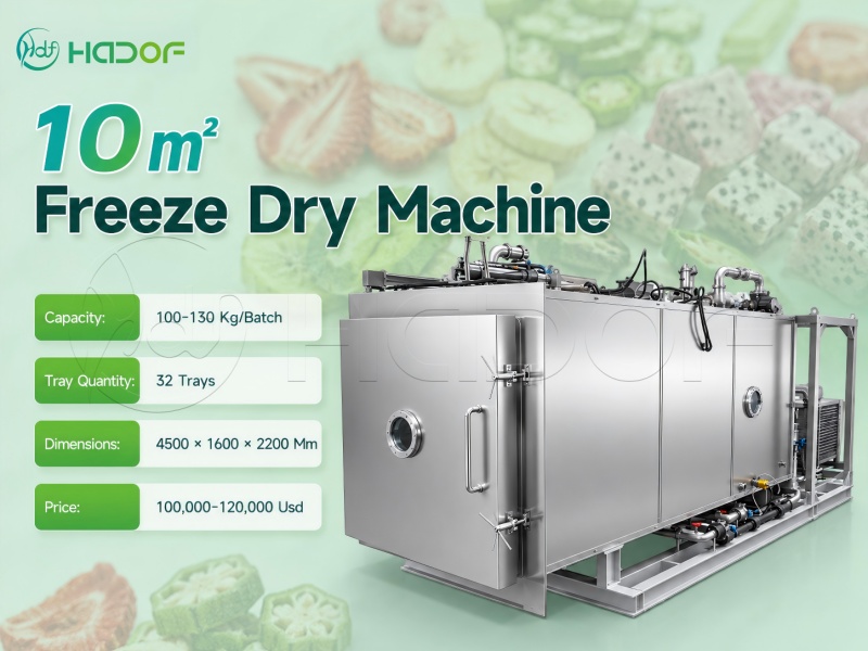 10㎡ Freeze Dry Machine