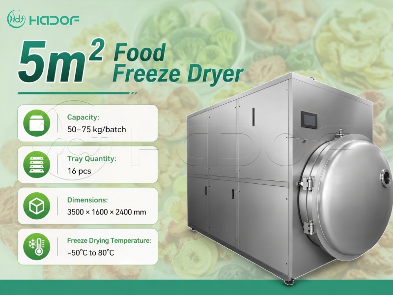 5㎡ Food Freeze Dryer