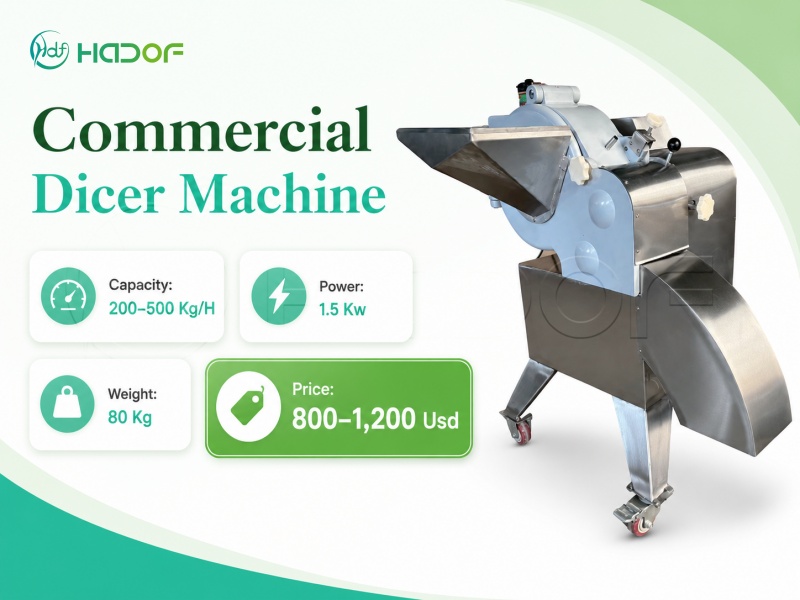 Commercial Dicer Machine Price
