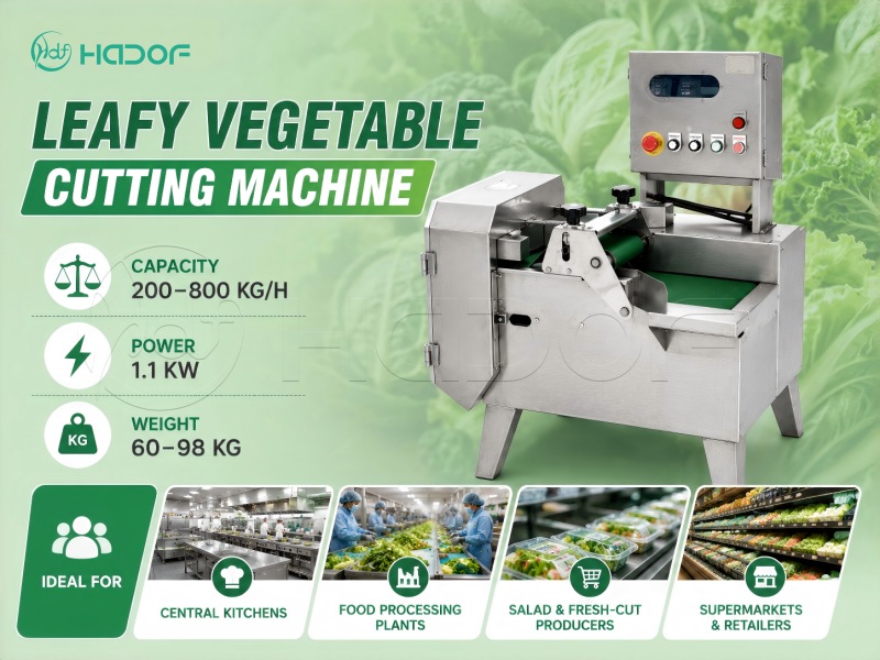 Leafy Vegetable Cutting Machine