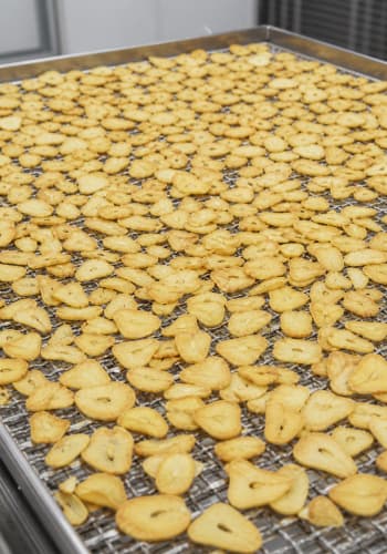 Dried Garlic Slices