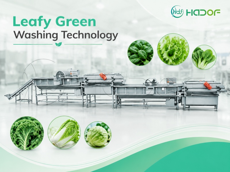 Leafy Green Washing Technology