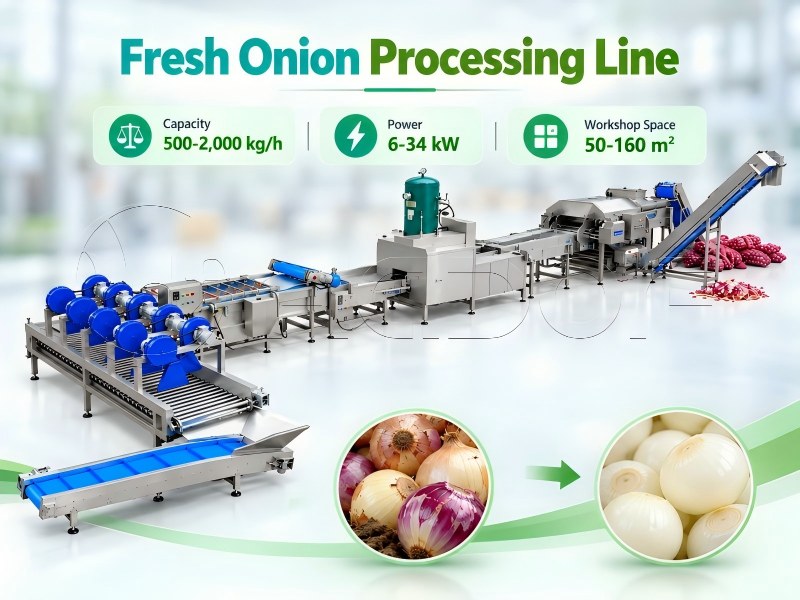 Fresh Onion Processing Line