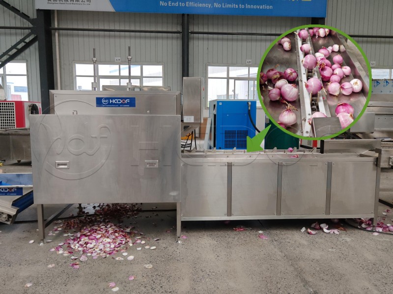 Inspection & Automatic Onion Trimming