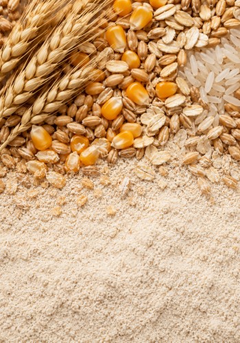 Grain Flour