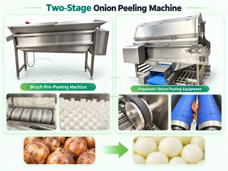 Automatic Feeding & Two-Stage Onion Peeling