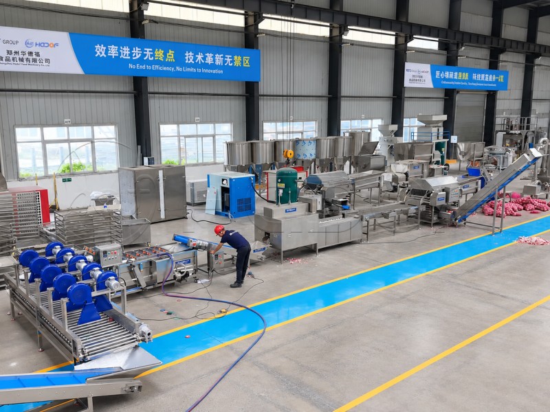 Onion Processing Line FAT in Hadof Factory